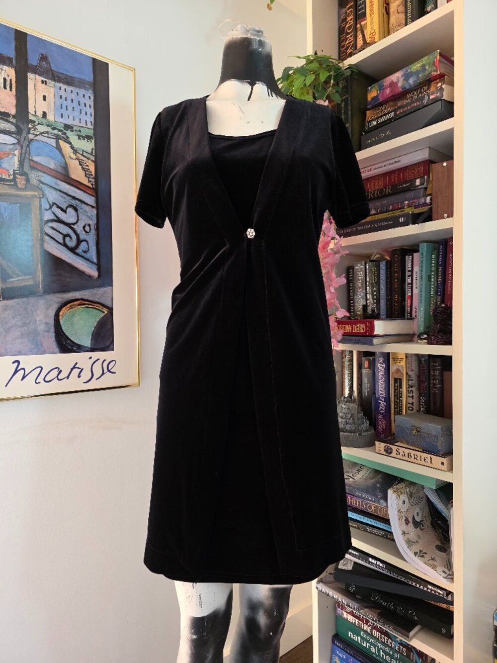 Vintage velvet whimsigoth dress